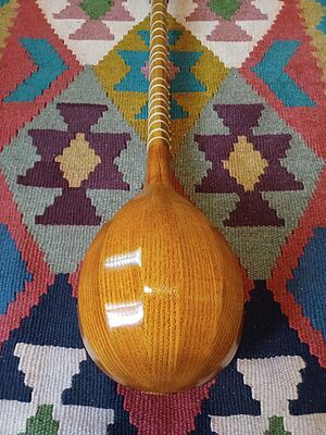 سه تار دو مهر ایلیا نوری (رنگ روشن)