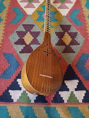 سه تار دو مهر ایلیا نوری (رنگ روشن)